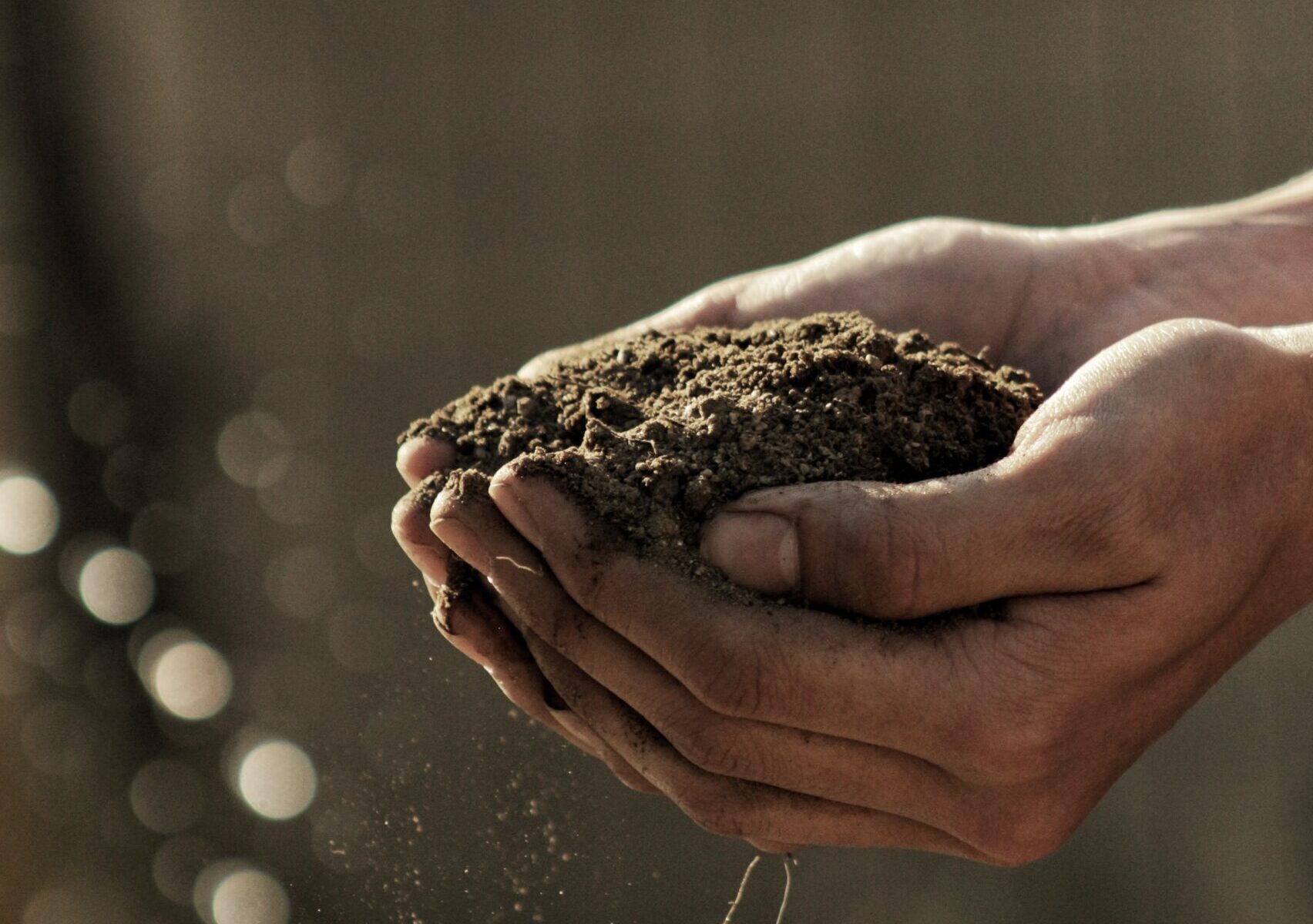 Sustainability at Blue Billywig